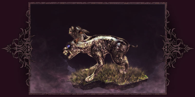 Zwillingshund Zwillingshund