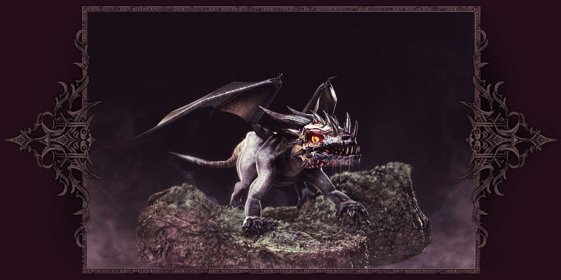 Junger schwarzer Drache Junger schwarzer Drache