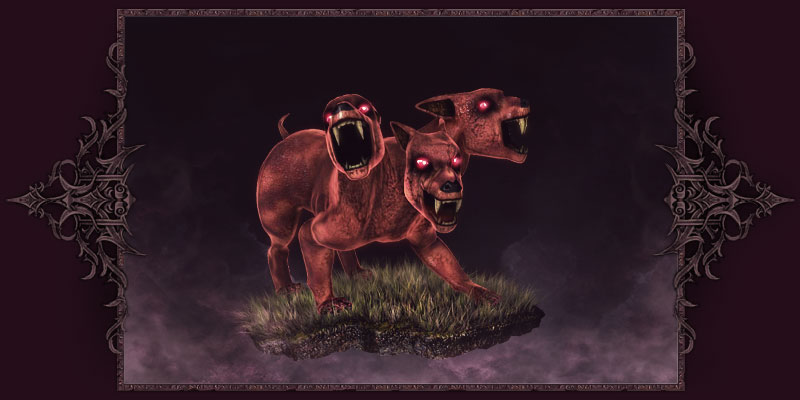 REX